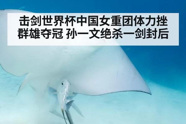 击剑世界杯中国女重团体力挫群雄夺冠 孙一文绝杀一剑封后